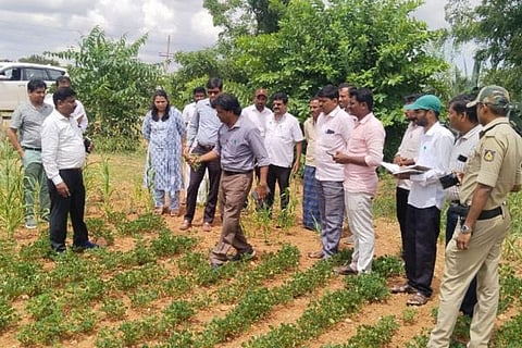 GROUND TRUTING SURVEY