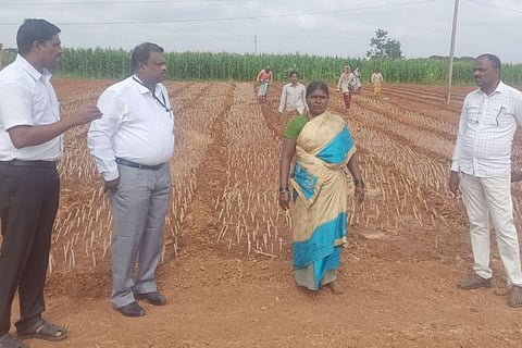 Harapanahalli Jameer