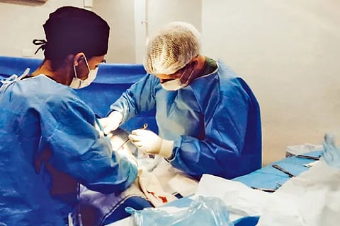 Health (1)
