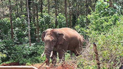 IMG-20230825-WA0263