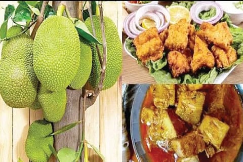 Jackfruit