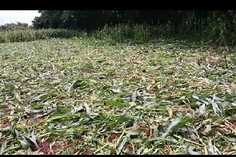 KH Halli Karadi
