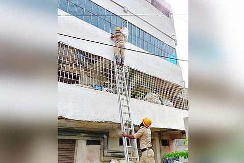 Manvi monkey save