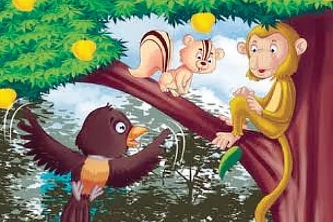 Monkey (1)