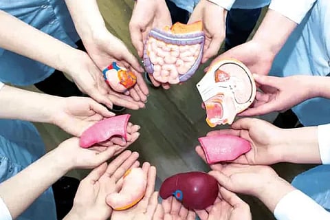 Organ Donation (1)
