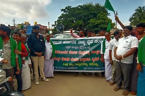 P PURA MERAVANIGE 17 (1)