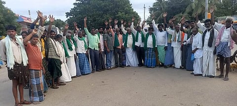 PRPURA HOORATA 4