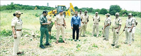 Possession of 150 acres of forest land