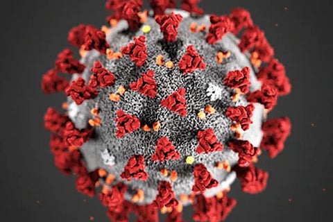 SARS-CoV-2 virus