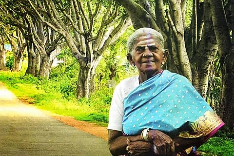 Salumarada thimmakka
