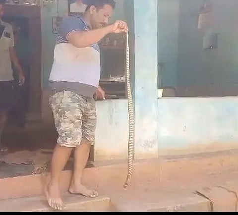 Snake at home on Panchami