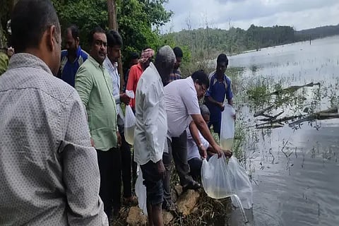 Spawn Fish sowing in Tunga Dam Backwater