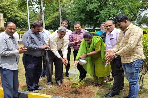 World Biofuel Day
