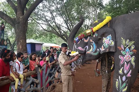World Elephant Day in sakrebail
