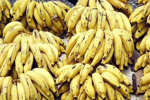 banana