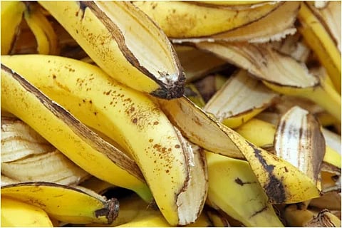 bananapeel