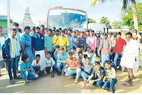 bus