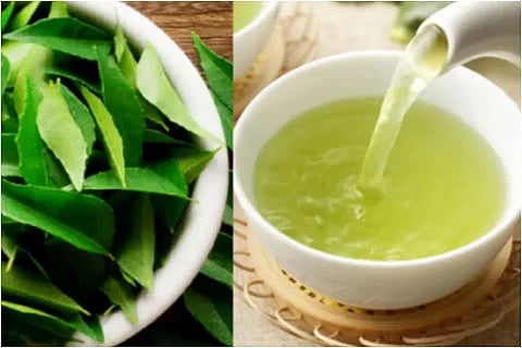curry leaves tea (1)