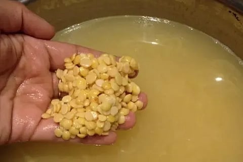 dal (1)
