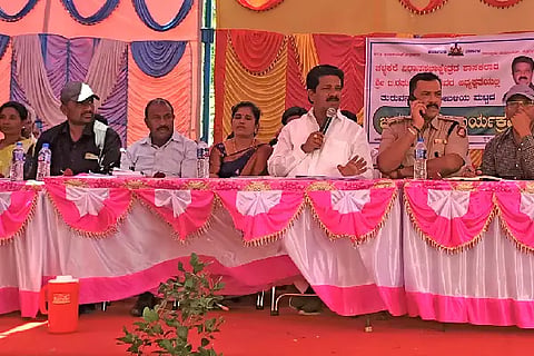 dj nyk mla