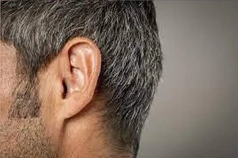 ear