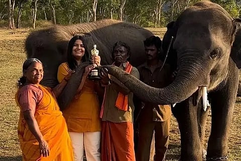 elephant (1)