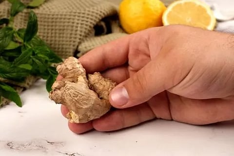 ginger