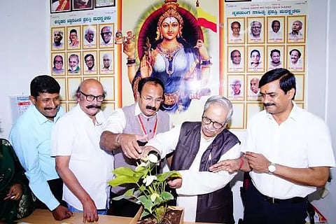 kammata new