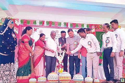 knk college