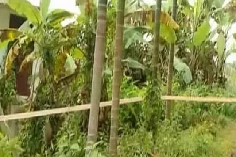 koilandy