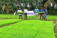 krishi.jpg