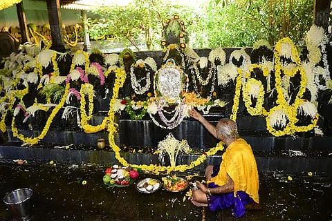 kudupu