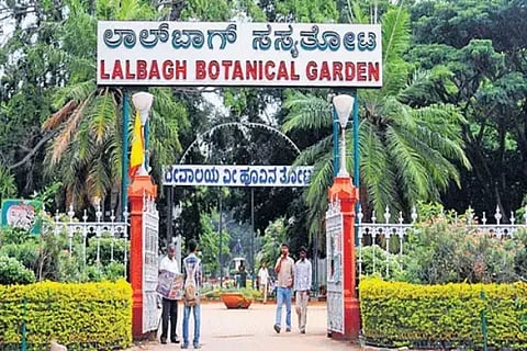 lalbagh (1)