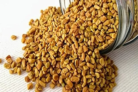 methi