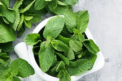 mint