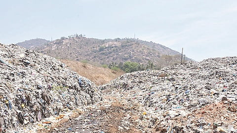mysore sewage farm