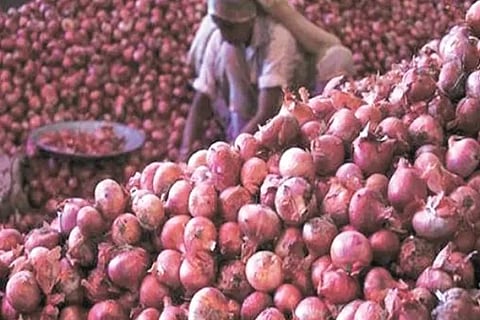 onion