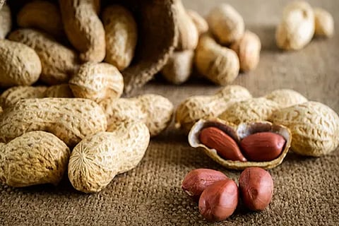 peanut