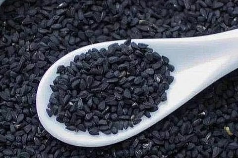seeds