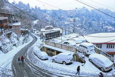 shimla (1)