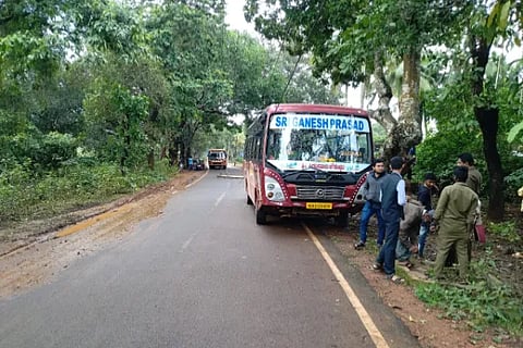 smg bus