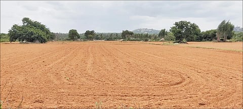 sowing in kolar