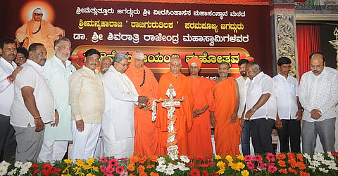 suttur mutt 2