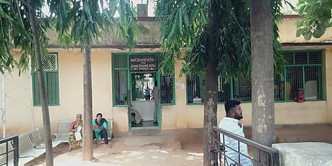 tn pura 1