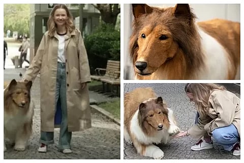 tokof