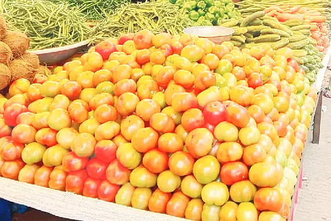 tomato