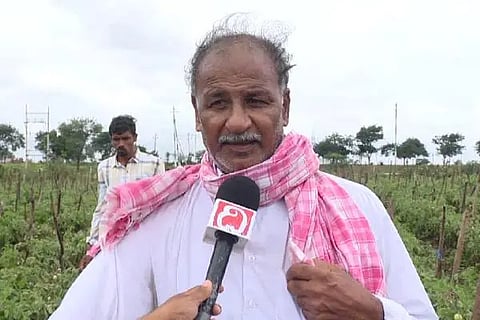 tomato farmer gadag