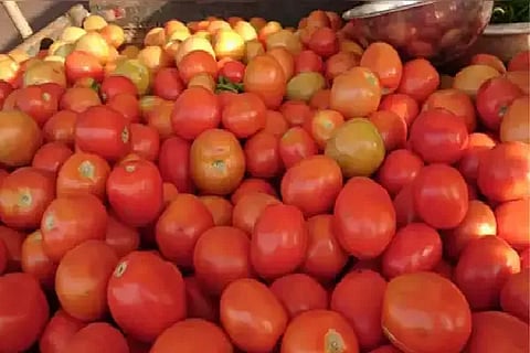 tomato que
