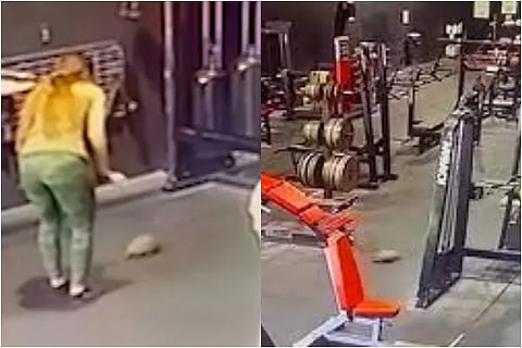 us gym