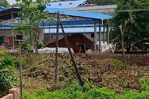 vamanjuru